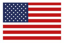 USA flag isolated icon vector illustration design
